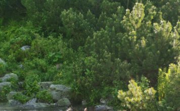 ZÁPADNÉ TATRY: Voda strhla lávku v Bystrej doline