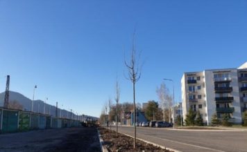 LIPTOVSKÝ HRÁDOK: Pri cyklotrase pribudne 40 líp