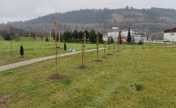 BYTČA: Mesto vysadilo 73 nových stromov