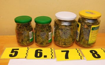 ŽILINSKÝ KRAJ: Policajti majú za sebou ďalšie úspešné protidrogové akcie