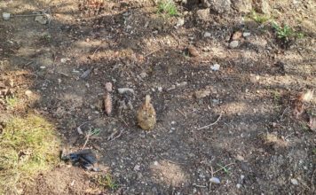 LIPTOVSKÝ MIKULÁŠ: Na rekonštruovanom cintoríne vykopali granát