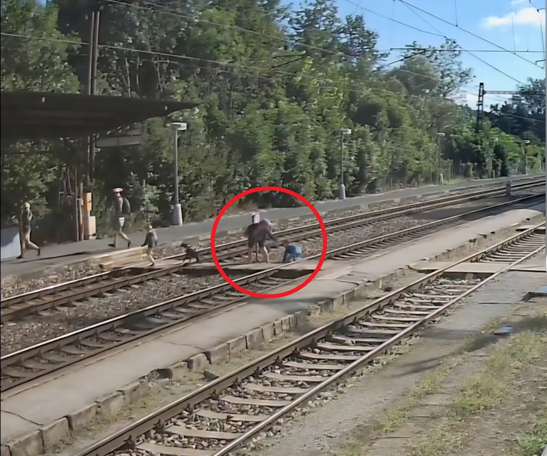 MRAZIVÉ VIDEO LEN PRE SILNÉ POVAHY: RODINU S DEŤMI DELILA OD SMRTI AŽ DESIVO KRÁTKA CHVÍĽA! Dieťa zostalo na koľajisku, o sekundy sa prirútil vlak